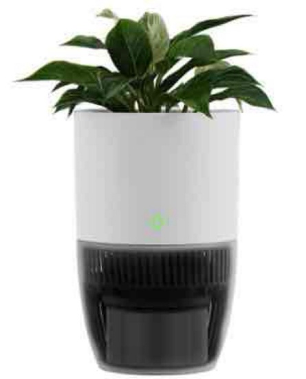 Bloom Air Purifier