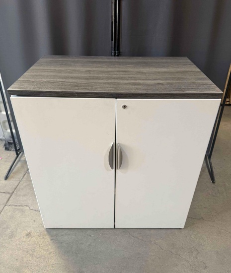 Office Storage Cabinet With Doors