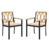 Set of 2 Patio Dining Chairs with Removable Padded