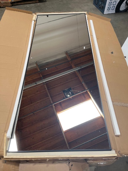 The large mirror approx 25in x 67in