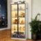 Gaylyn Dining Cabinet Smoked Black Acrylic Door With LED Light