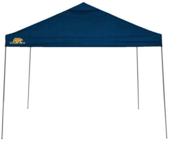 Golden Bear Coronado 10'x10' Straight-Leg Canopy
