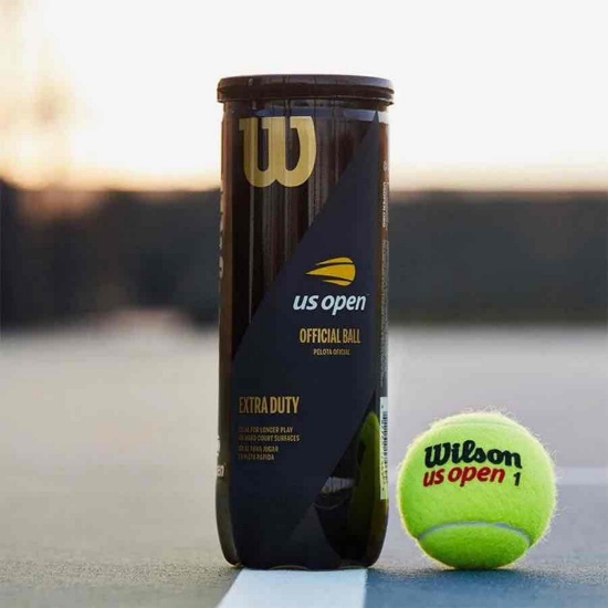 WILSON Championship Tennis 6 Balls