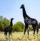 Giraffe Metal Garden Stakes Decorative,Giraffe
