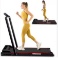 Portable Under Table Treadmill for Home Gym Exercise LED Display Foldable Walking Pad Treadmill