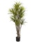 Nearly Natural 5ft. Dracaena Silk Tree