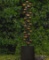 65In Bloomington Cascading Cup Fountain