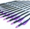 12x - 30Inch Carbon Arrow Practice Hunting Arrows with Removable Tips