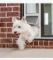 petsafe sliding glass door Doggie Door 75-80in approx.