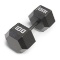 Marcy 100lb Hex Dumbbell IV-2100
