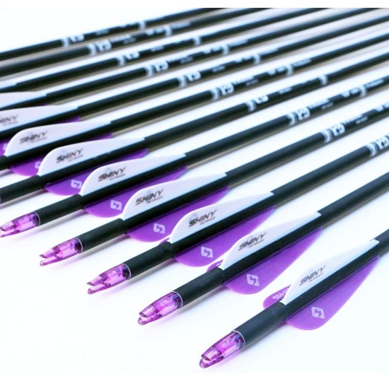 12x - 30Inch Carbon Arrow Practice Hunting Arrows with Removable Tips
