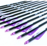 12x - 30Inch Carbon Arrow Practice Hunting Arrows with Removable Tips