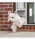 petsafe sliding glass door Doggie Door 75-80in approx.