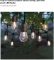 Qty 2 Pack Hampton Bay 12-Light 24 ft. Plug-in Indoor/Outdoor Edison String Light with S14