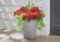 Qty 2 - Vigoro 22 in. Alameda Extra Large Gray Plastic Planter (22 in. D x 17.5 in. H)