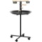 PawHut Portable Bird Play Stand
