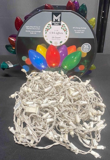 2 Pack of Member's Mark LED Lights