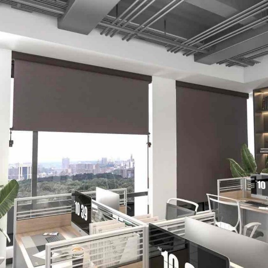 Coursey Semi Sheer Outdoor Roller Shade Symple Stuff Length & Width