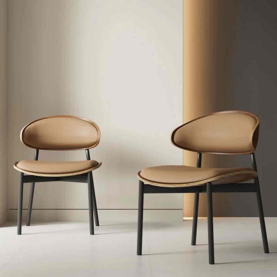 Cathelijn 2-piece Dining Chair Set (Set of 2)
