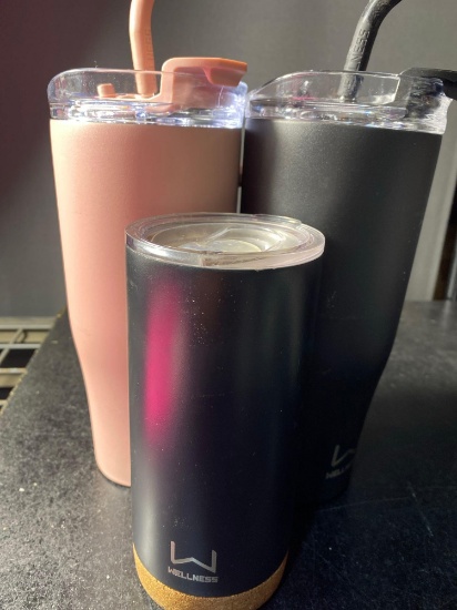 Lot of 3 Pieces insulated stainless steel travel tumbler