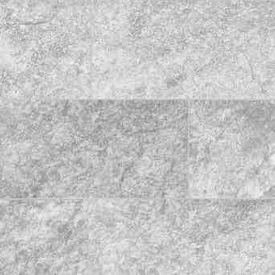 Elida Ceramica Silver Chateau 5-in x 10-in Matte Porcelain Wall Tile