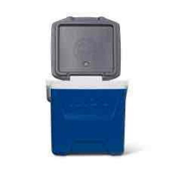 Igloo Quantum Hybrid 12-Qt. Cooler
