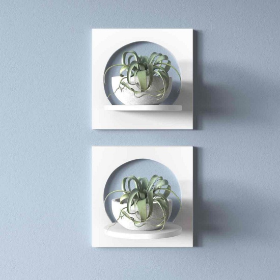 Agran 2 Piece Wall Shelf Set (Set of 2)