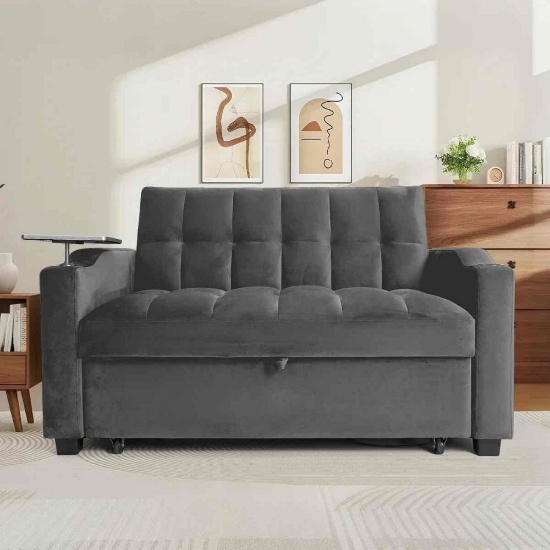 Williams Pull Out Sleeper Sofa
