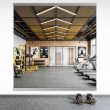 2Pack Home Gym Mirror