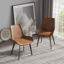 Set of 2 Tinyhomie Modern Dining Chairs