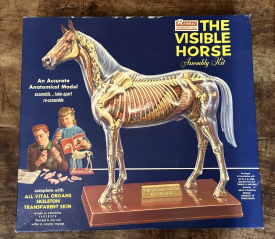 Vintage Renwal The Visible Horse Assembly Kit
