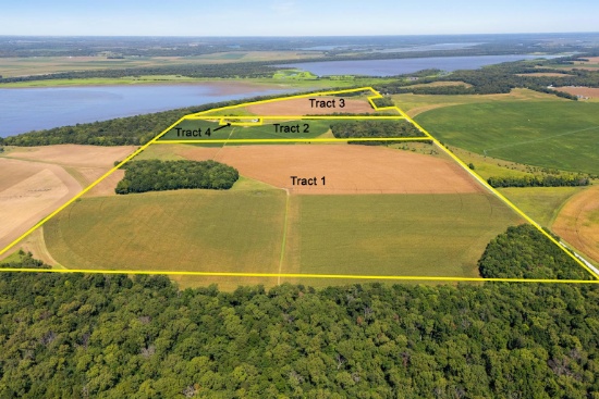 Terms and Conditions