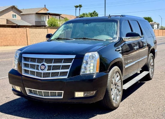 2009 Cadillac Escalade ESV Platinum Edition All Wheel Drive 4 Door SUV