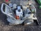 Bulldog Industrial BTP3103 Water Pump