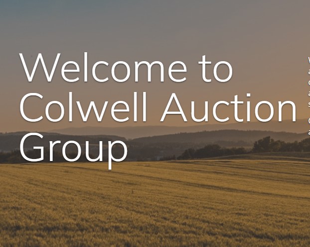 Colwell Auction Group