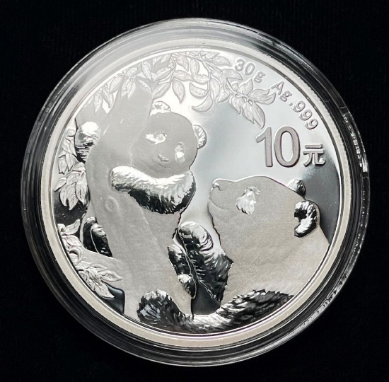 (1) 30g 2021 .999 Fine Silver Panda
