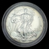 2013 American Silver Eagle
