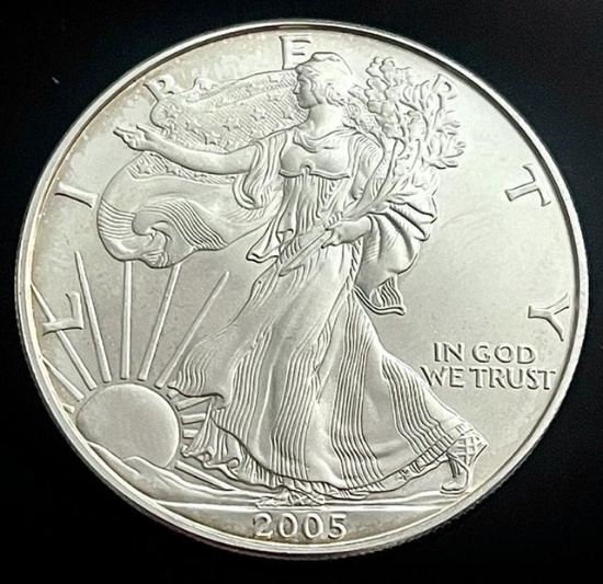 2005 American .999 Silver Eagle 1 ozt Coin