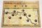 Lewis & Clark Expedition Colorized Coin Collection (14-coins)