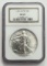 1993 American Silver Eagle .999 Fine NGC MS69