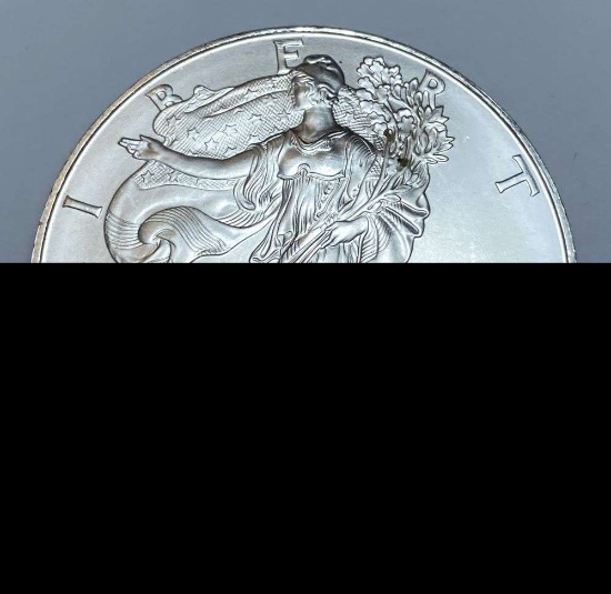 1996 American Silver Eagle