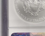 2008-W American Silver Eagle NGC MS70
