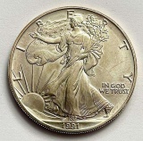 1991 American Silver Eagle .999 Fine