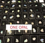 2.00 Carat Natural Vibrant Opal