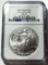 2010 American Silver Eagle NGC MS69 Early Releases