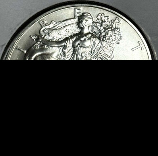 2014 American Silver Eagle