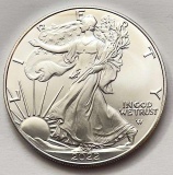 2022 American Silver Eagle