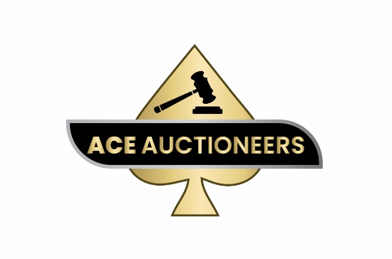 EBAY RESELLERS DREAM AUCTION, TOOLS, COINS, GOLD +