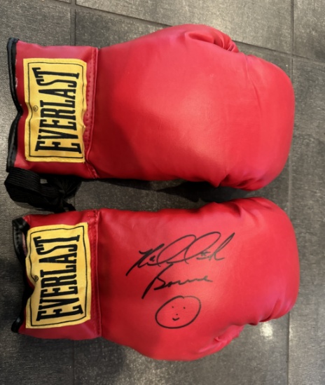 BOXING GLOVES SIGNED BY RIDDIC Riddick BOWE