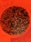 Lot of .22 LR Ammunition Shells for Reloading, Aprox 10 Pounds